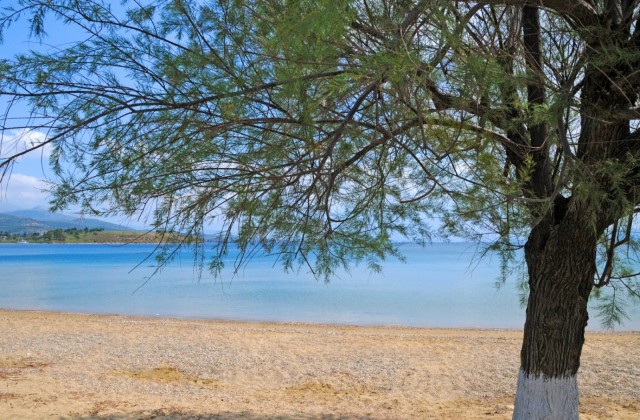λευκαντί
